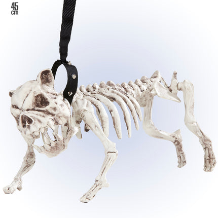 e-carnavalskleding-SYK Skelet van een hond