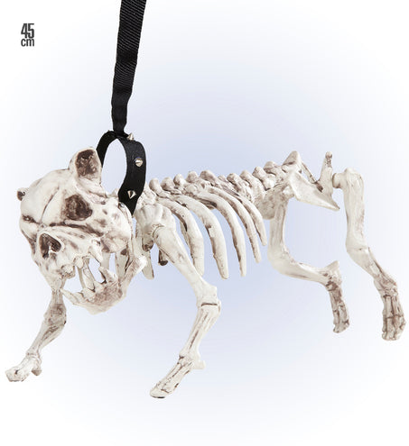 e-carnavalskleding-SYK Skelet van een hond