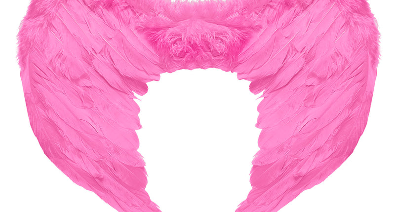 e-carnavalskleding-SYK Veren vleugels roze 37x50cm