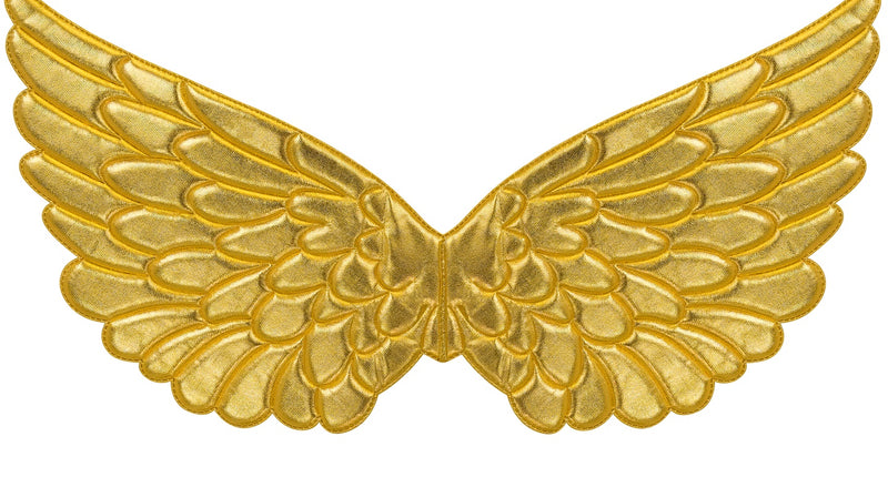 e-carnavalskleding-SYK Vleugels goud 57x26 cm