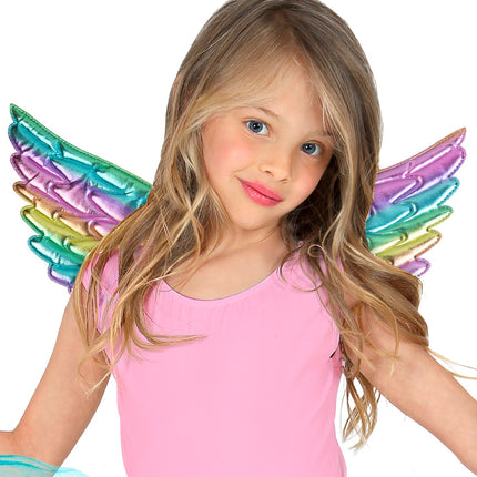 e-carnavalskleding-SYK Vleugels regenboog 43x22 cm