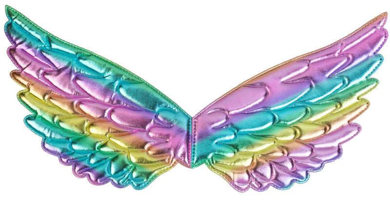 e-carnavalskleding-SYK Vleugels regenboog 43x22 cm