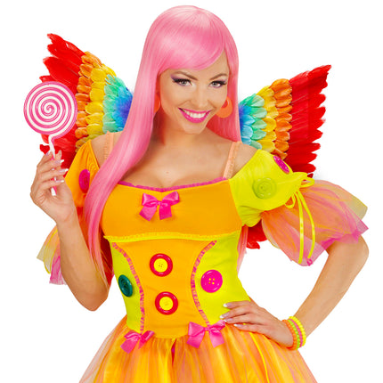 e-carnavalskleding-SYK Vleugels regenboog