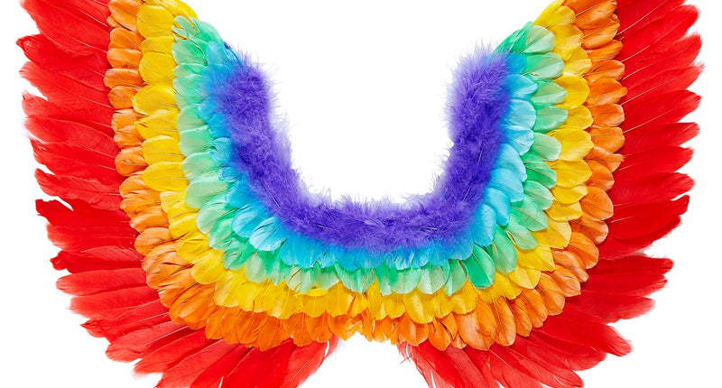 e-carnavalskleding-SYK Vleugels regenboog