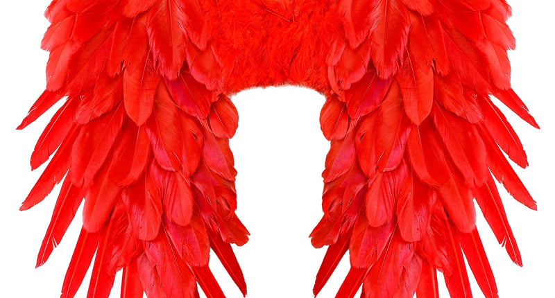 e-carnavalskleding-SYK Vleugels rood