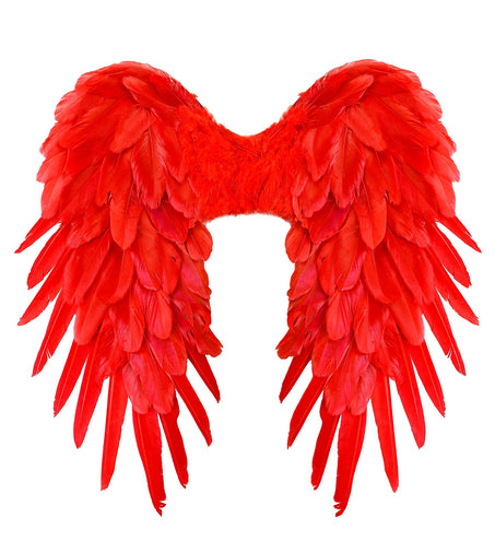 e-carnavalskleding-SYK Vleugels rood