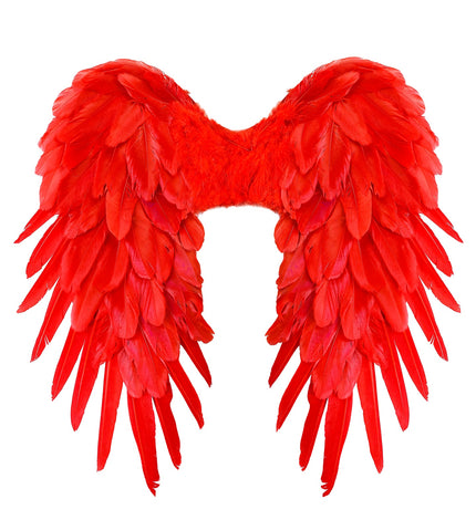 e-carnavalskleding-SYK Vleugels rood