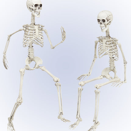 e-carnavalskleding-SYK Vorm baar skelet Halloween