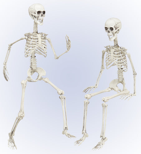 e-carnavalskleding-SYK Vorm baar skelet Halloween