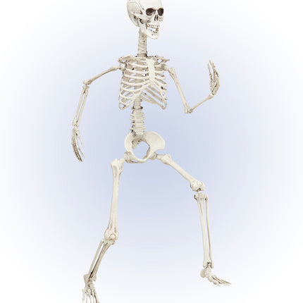 e-carnavalskleding-SYK Vorm baar skelet Halloween