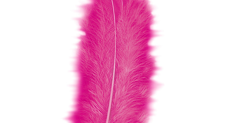 e-carnavalskleding-SYK zakje met 50 veertjes roze / magenta