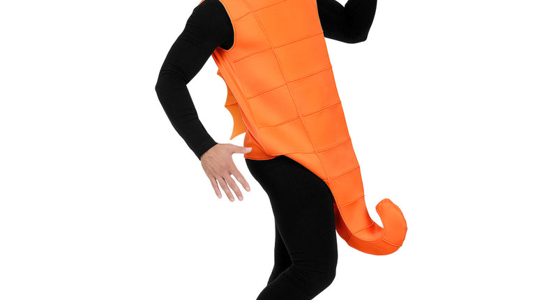e-carnavalskleding-SYK Zeepaardje pak unisex