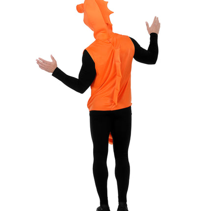 e-carnavalskleding-SYK Zeepaardje pak unisex