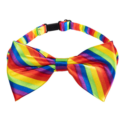 E-Carnavalskleding.nl Accessoireset regenboog