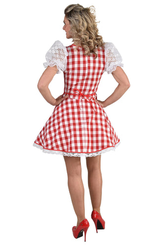 E-Carnavalskleding.nl Dirndl jurkje Rosie