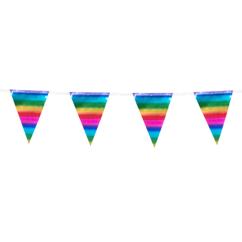 E-Carnavalskleding.nl Folieminivlaggenlijn regenboog