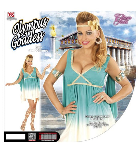 E-Carnavalskleding.nl Godin jurk Olympia dames