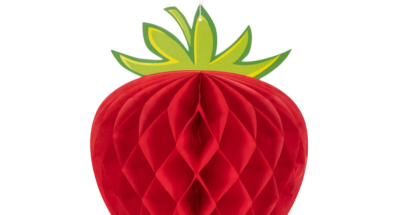 E-Carnavalskleding.nl Honingraatdecoratie Aardbei