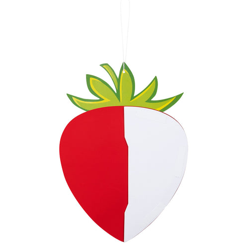 E-Carnavalskleding.nl Honingraatdecoratie Aardbei