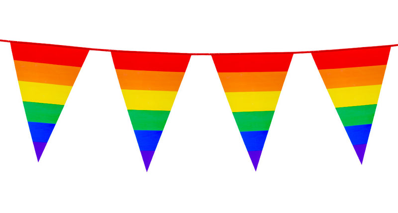 E-Carnavalskleding.nl PE reuzenvlaggenlijn Regenboog