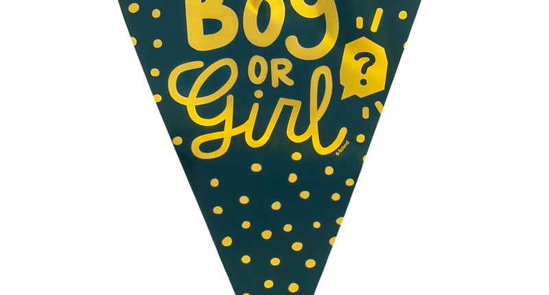 E-Carnavalskleding.nl PE vlaggenlijn 'Boy or girl?'