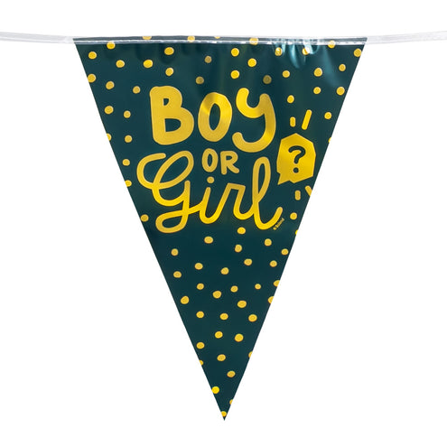 E-Carnavalskleding.nl PE vlaggenlijn 'Boy or girl?'