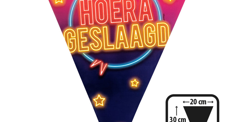 E-Carnavalskleding.nl PE vlaggenlijn 'Hoera geslaagd'