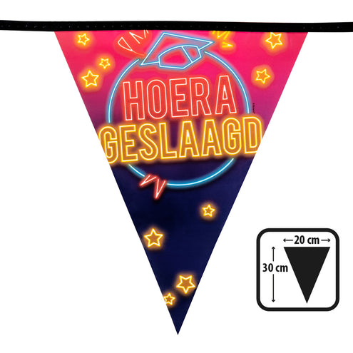 E-Carnavalskleding.nl PE vlaggenlijn 'Hoera geslaagd'