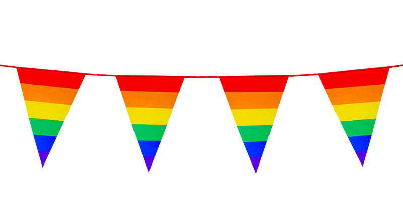 E-Carnavalskleding.nl PE vlaggenlijn Regenboog