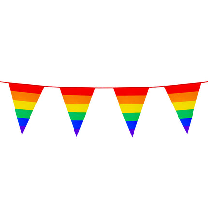 E-Carnavalskleding.nl PE vlaggenlijn Regenboog