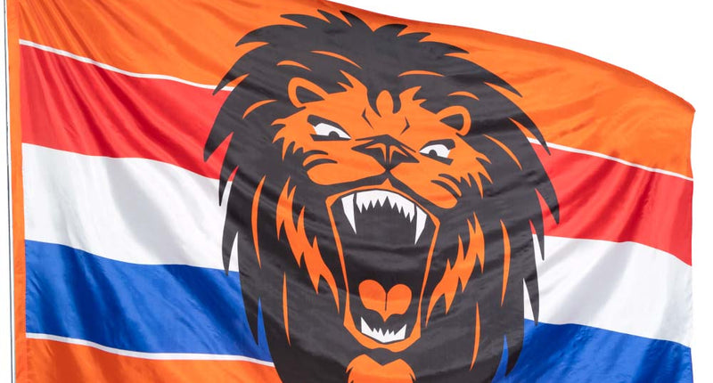 E-Carnavalskleding.nl Polyester reuzenvlag Brullende leeuw