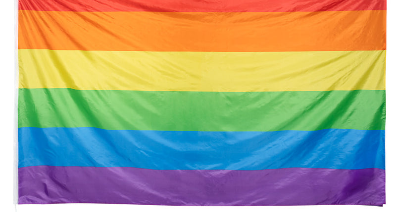 E-Carnavalskleding.nl Polyester reuzenvlag Regenboog
