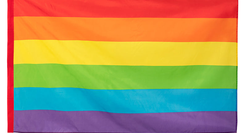 E-Carnavalskleding.nl Polyester vlag Regenboog