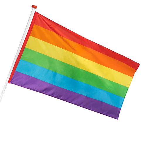 E-Carnavalskleding.nl Polyester vlag Regenboog