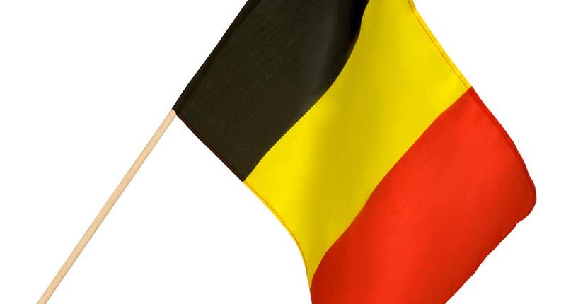 E-Carnavalskleding.nl Polyester zwaaivlag Belgie