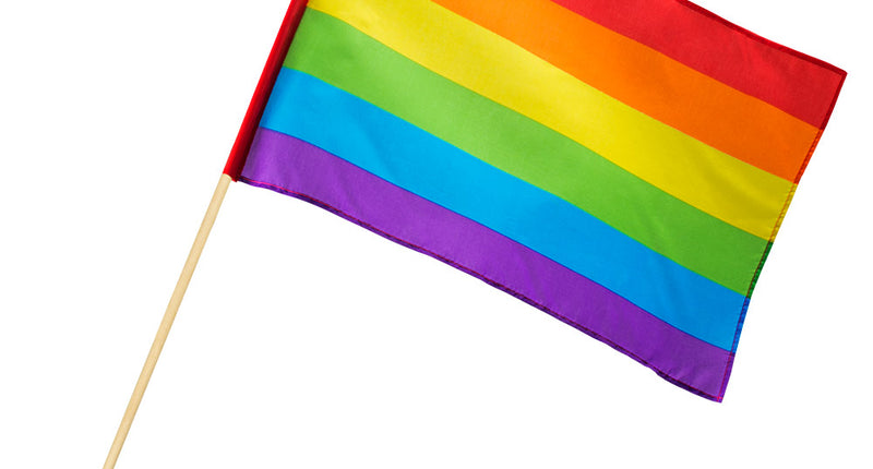 E-Carnavalskleding.nl Polyester zwaaivlag Regenboog