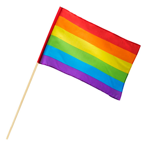 E-Carnavalskleding.nl Polyester zwaaivlag Regenboog