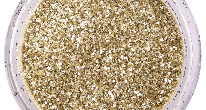 E-Carnavalskleding.nl PXP biologisch afbreekbaar poeder glitter Hollands Zilver 2,5 gram