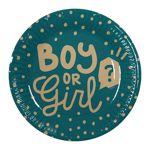 E-Carnavalskleding.nl Set 10 papieren bordjes 'Boy or girl?'