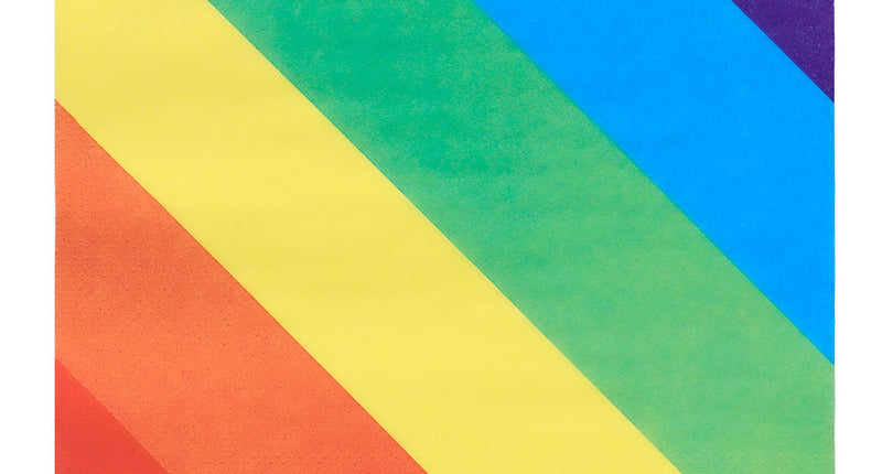 E-Carnavalskleding.nl Set 20 papieren servetten Regenboog