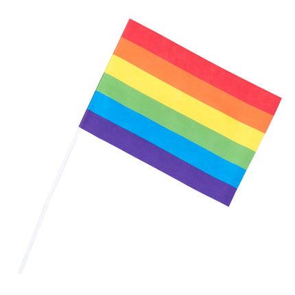 E-Carnavalskleding.nl Set 6 papieren zwaaivlaggen Regenboog