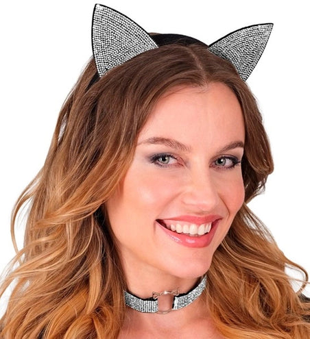 E-Carnavalskleding.nl Set kat Sanne