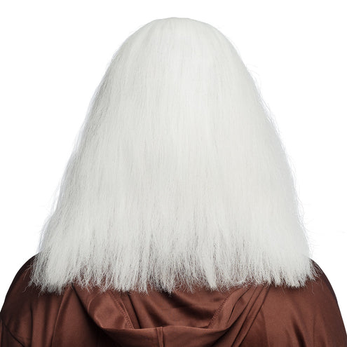 E-Carnavalskleding.nl Tovenaar pruik Wise man