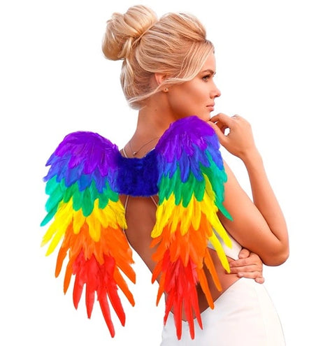 E-Carnavalskleding.nl Veren vleugels regenboog opvouwbaar 50 x 50cm Roos