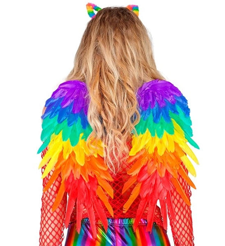E-Carnavalskleding.nl Veren vleugels regenboog opvouwbaar 50 x 50cm Roos