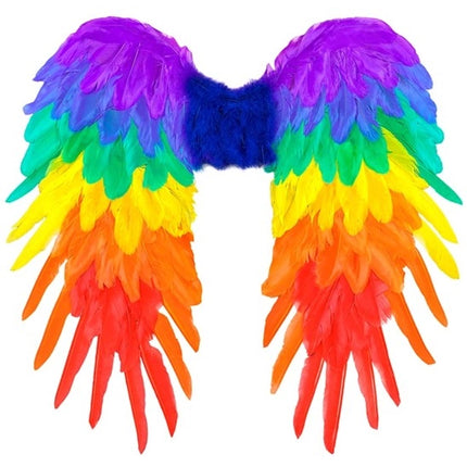 E-Carnavalskleding.nl Veren vleugels regenboog opvouwbaar 50 x 50cm Roos