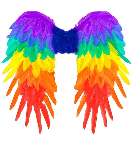 E-Carnavalskleding.nl Veren vleugels regenboog opvouwbaar 50 x 50cm Roos