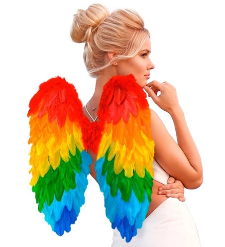 E-Carnavalskleding.nl Veren vleugels regenboog opvouwbaar 50 x 50cm Thijs
