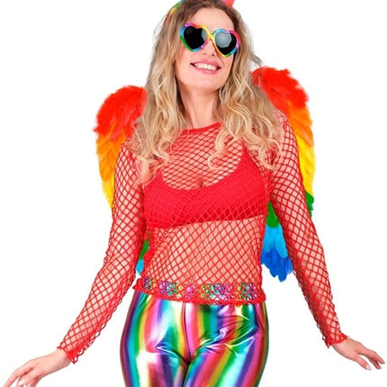 E-Carnavalskleding.nl Veren vleugels regenboog opvouwbaar 50 x 50cm Thijs