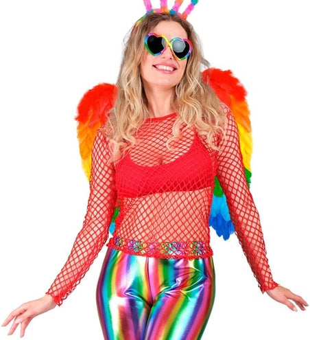 E-Carnavalskleding.nl Veren vleugels regenboog opvouwbaar 50 x 50cm Thijs